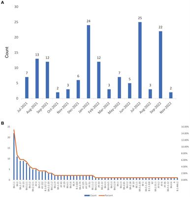 Molecular epidemiological characteristics of SARS-CoV-2 in imported cases from 2021 to 2022 in Zhejiang Province, China